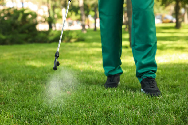 Best Best Pest Control Companies  in San Anselmo, CA