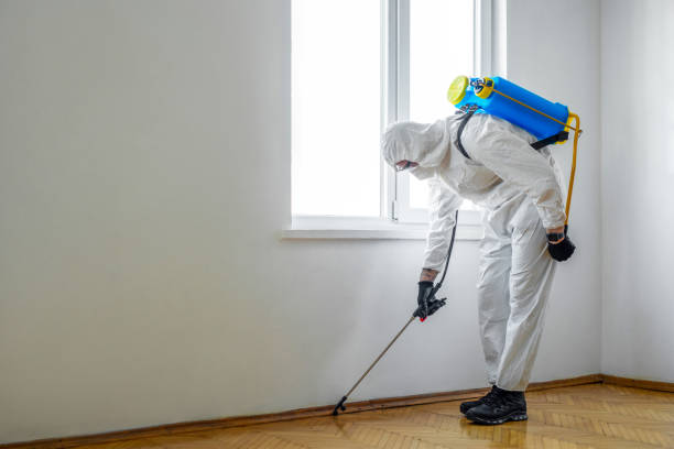 Best Residential Pest Control  in San Anselmo, CA