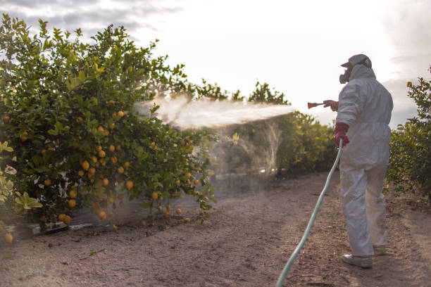 Best Cockroach Control Services  in San Anselmo, CA