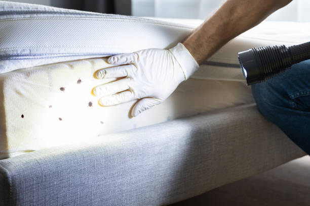 Best Pest Prevention Services  in San Anselmo, CA