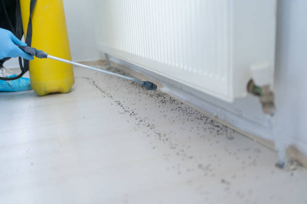 Best Emergency Pest Control  in San Anselmo, CA